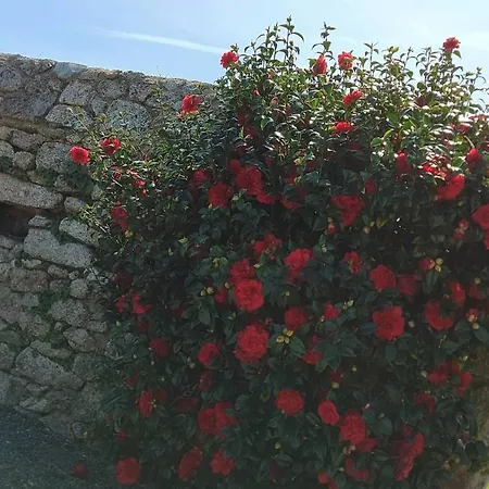 Casa vacanze The Commanderie Grand Gite10 Kms From Puy Du Fou Mauleon